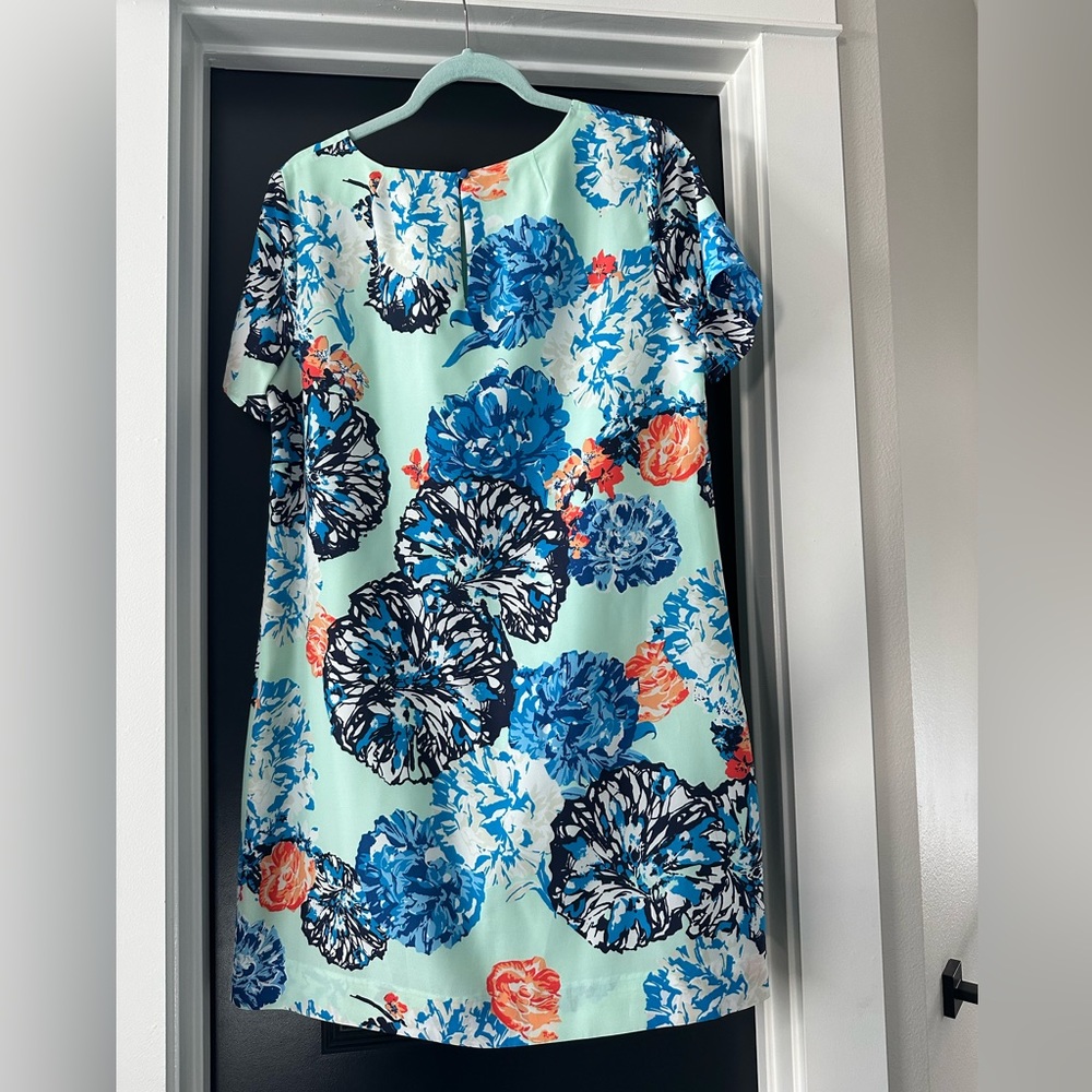 JCrew shirt dress